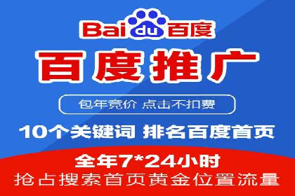 百度竞价运营的挑战与机遇：成功案例探讨